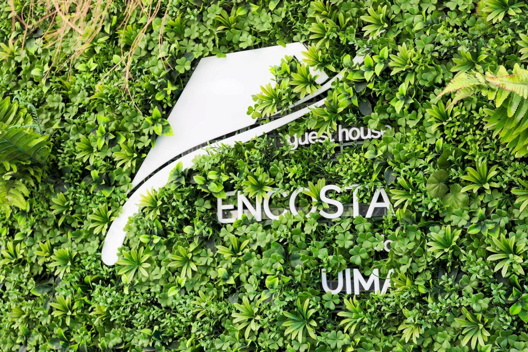 Encosta Do Uima - Guest House Caldas de Sao Jorge Eksteriør billede